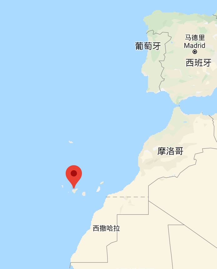 Genus Napaeus Bin YE